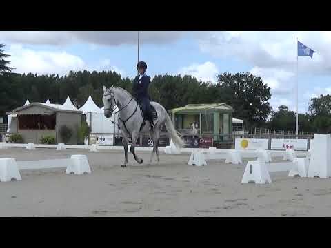 World Championship Working Equitation 2022 in les Herbiers dressage test Johansson Ida Maria on HOXI