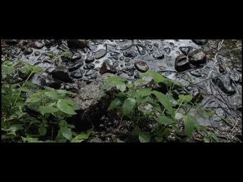 comparison | nokia 5.4 cinema mode  vs nokia 5.4 h-log rec 709 | ozo audio | android 12