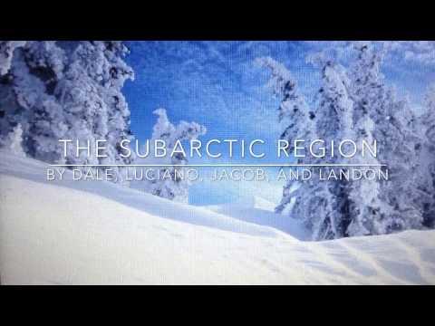 The Subarctic Region
