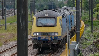 Rail￼ adventure HST‘s in Holgate ￼sidings ￼