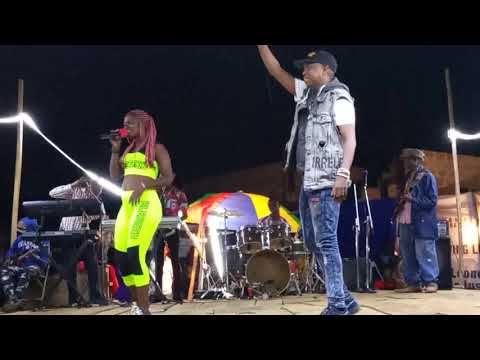 Steady Bongo ( band show) 2020