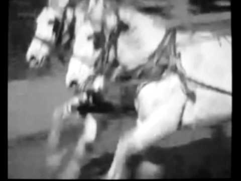 Video thumbnail for Chômage, Voiture, Nuits Blanches