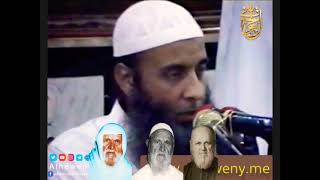 صورة أثر الشيخ الألباني فى علم الحديث | لقاء خاص للشيخ الحويني