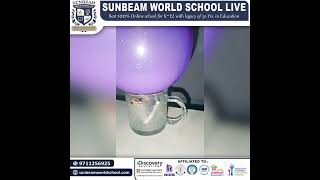 Sunbeam World School Students Conduct Science Experiment 🔬