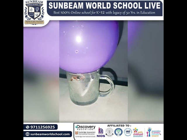 Sunbeam World School Students Conduct Science Experiment 🔬