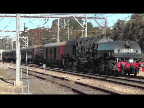 MT VICTORIA GREAT TRAIN WEEKEND