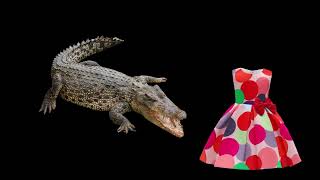 CVI version of Down in the Jungle (real photos) gameplay video by mnazal, 1:33 duration