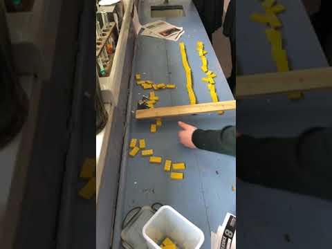 Racing Dominos Activity modelling speed of sound