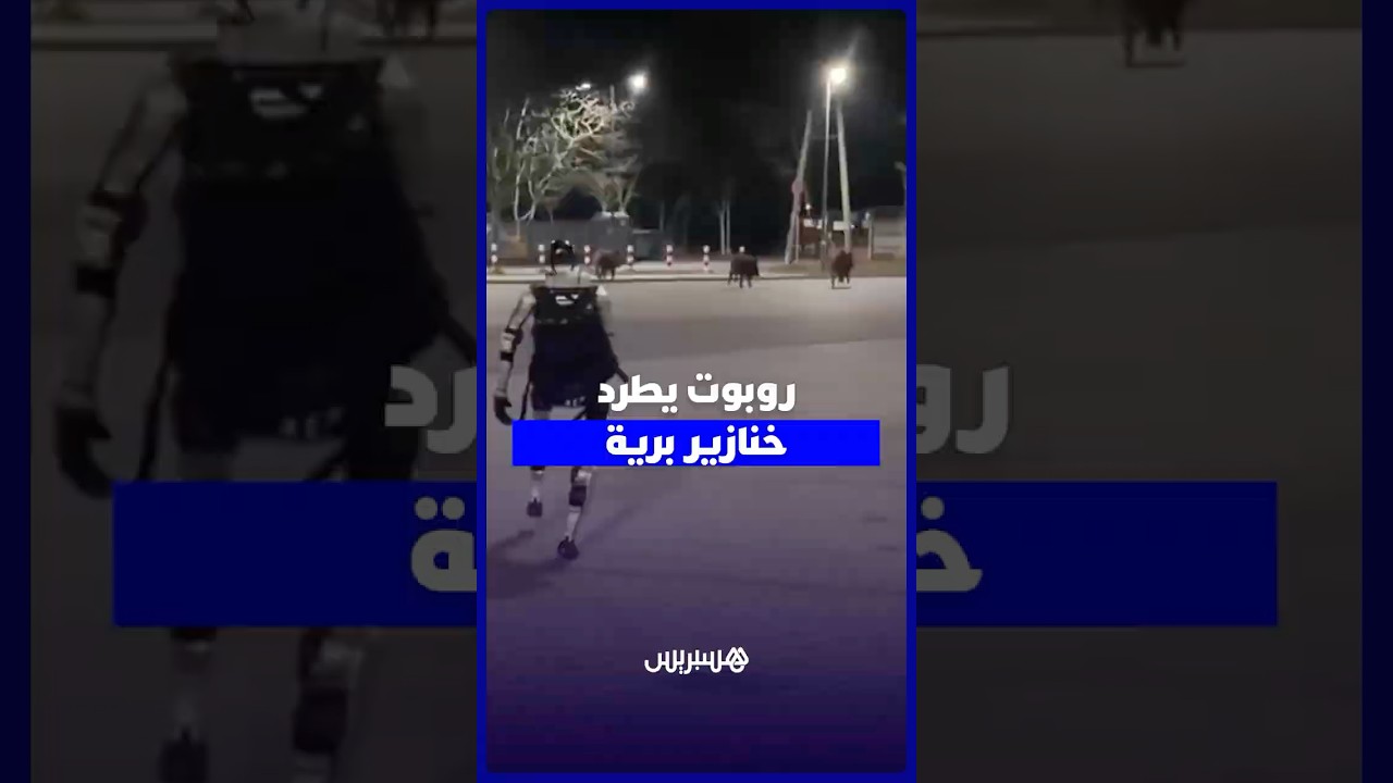 روبوت صيني يتدخل لإنقاذ حي سكني من خنازير برية thumbnail