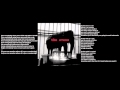 The Evens - Minding ones business