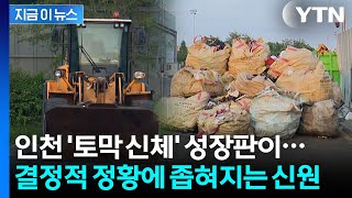 인천 '훼손 시신' 성장판 닫혀있었다…경찰이 파악한 결정적 지점 [지금이뉴스] / YTN