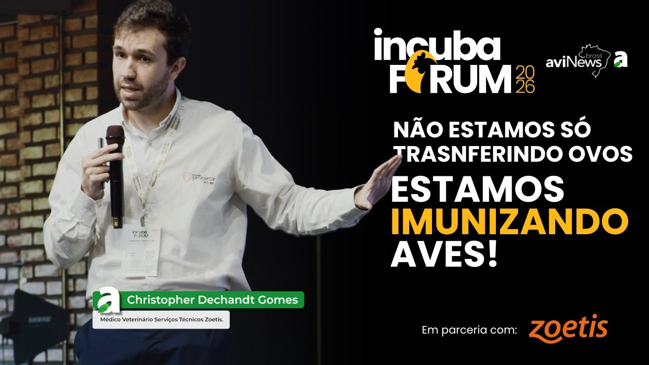 Muito Além de Transferir Ovos: Estratégias para Garantir 100% de Imunização no Incubatório