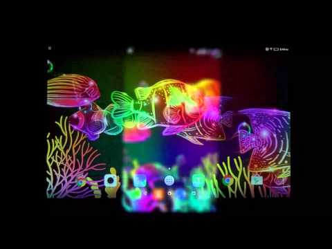 Neon Fish Live Wallpaper Video