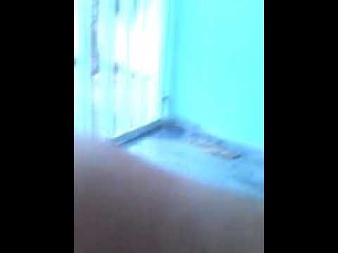 Marilia Mendonça - TODO MUNDO VAI SOFRER  ( Parodia)