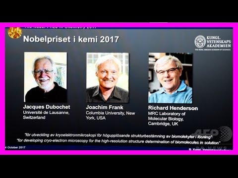 ノーベル化学賞は低温電子顕微鏡法で受賞