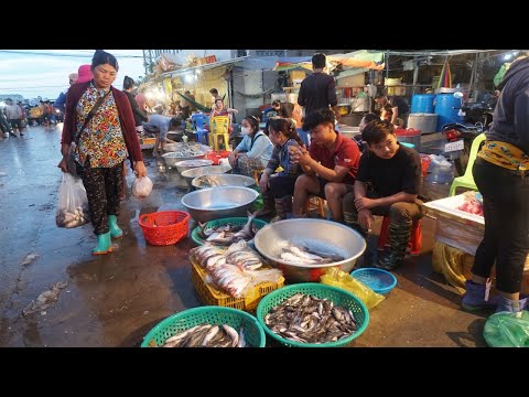 Early Morning Prek Phnov Fish Market - Many Alive Fish, Dry Fish, SeaFood & More Food Selling Here
