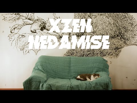 ŽEN - NEDAMISE [Official video]