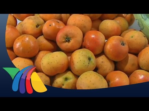 Tejocote: qué es, características, hábitat, propiedades, usos