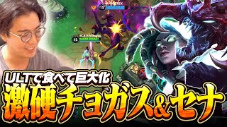 新キャラ「チョガス」にサポセナ合わせてみた！！ウルトでおっきく固くなれるキャラです///【ワイリフ】