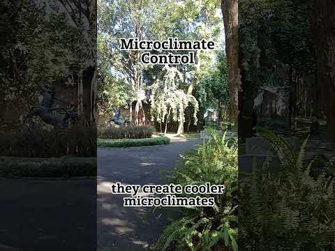 Microclimate Control @ ATO URBAN #long