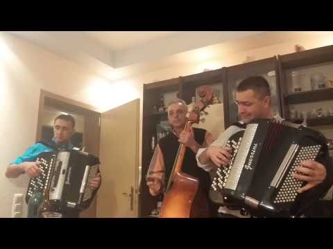 Orkestar Brace Jovanovic 1