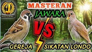 Download lagu GEREJA TARUNG VS SIKATAN LONDO GACORRR mp3