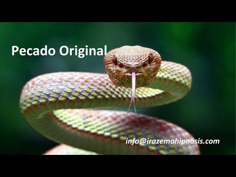 969 Carlos pecado original Hipnosis Regresiva Irazema Nuño