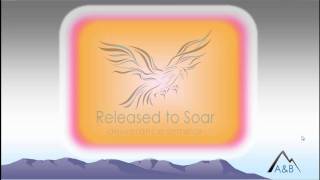 Group Deliverance Seminars: "Released to Soar"