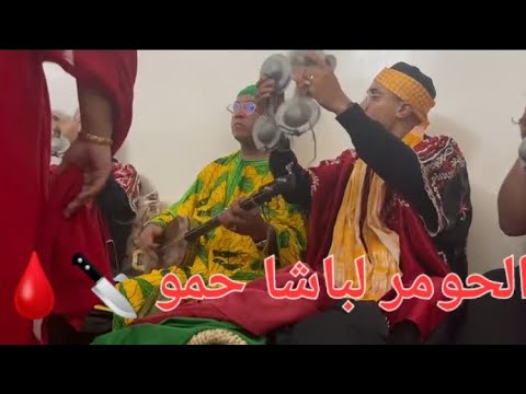 الحومر كناوة المعلم إسماعيل رحيل/EL HOMER  gnaoua maalem ismail rahil
