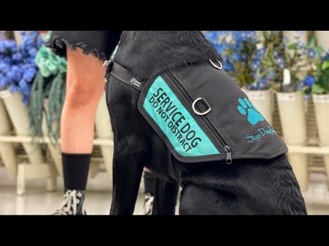 Training heart rate alert / service dog