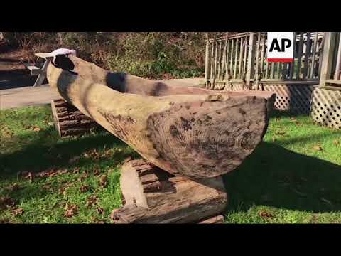 Una escuela para recuperar el idioma perdido