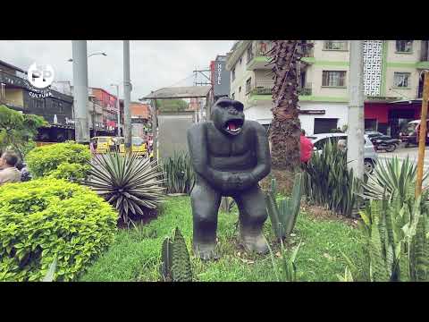 Buenos aires patrimonial: la memoria en sus muros