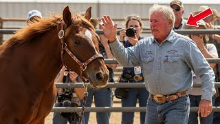 Arrogant Millionaire Slaps Auction Horse as a Joke... But the Horse Responds in a Devastating Way!