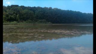 Doc Watson - Alberta