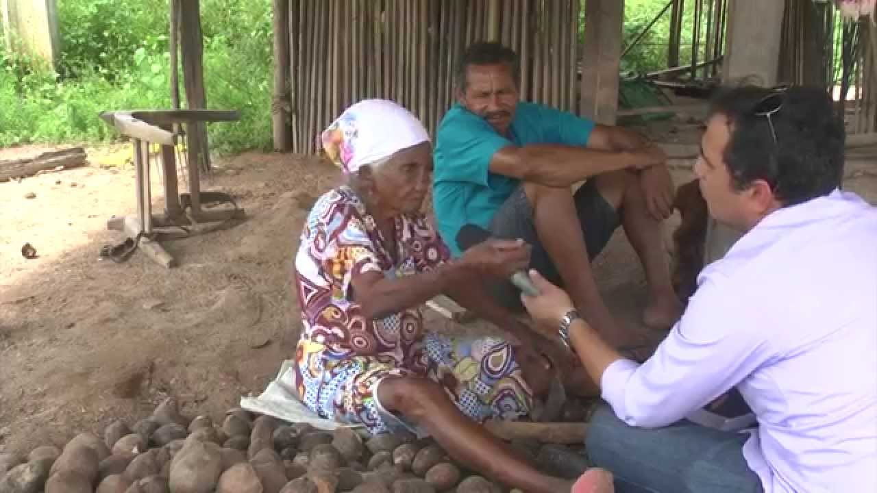 Uma das quebradeiras de coco babaçu mais antigas do Brasil em plena atividade extrativista.