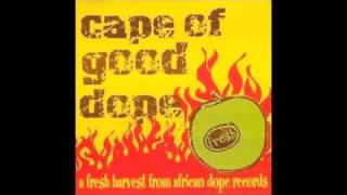 paradise syndrome - moodphase5ive - dj dope and farmer brian&#39;s dub