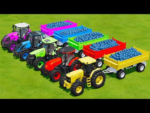 LOAD BLUEBARRYS AND TRANSPORT BATTLE WITH JOHN DERRE, McCORMICK, CASE, VALTRA & CLAAS TRACTORS - Far