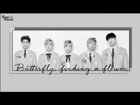 [Vietsub+Kara] MAS 0094 - Butterfly, Finding Flower (나비‚ 꽃을 찾다)