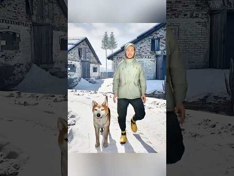 Il a refusé de continuer à marcher... pour une raison 🐶❄️#shorts