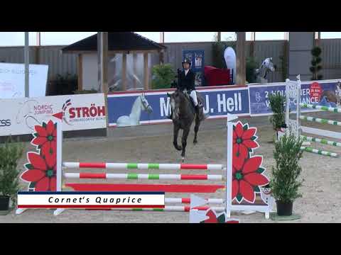 Cornet´s Quaprice - Online-Hengstpräsentation Holsteiner Privathengsthalter 21.02.2021