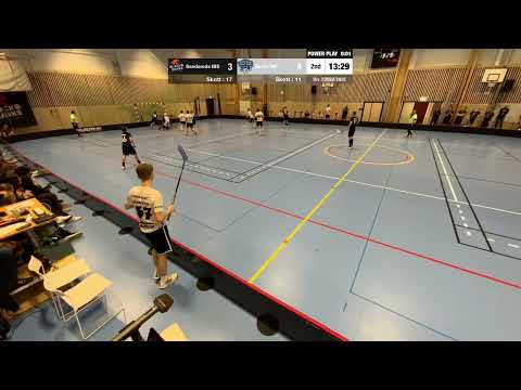 Höjdpunkter Sandareds IBS - Borås IBF 2025 03 07