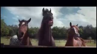 Volkswagen - Horses laugh [Commercial]