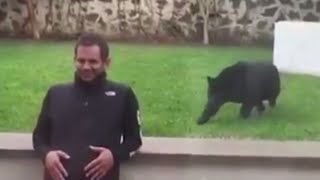 9 Terrifyingly Close Calls | ABC News Remix