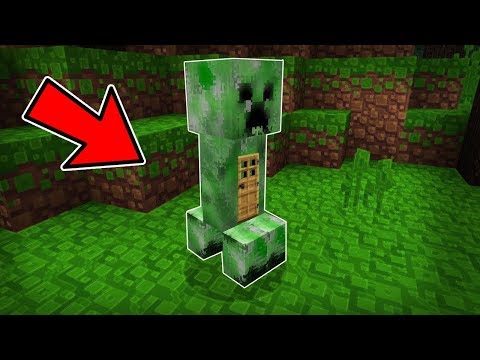 COME VIVERE DENTRO un CREEPER su MINECRAFT! ITA (COME VIVERE IN UN CREEPER)