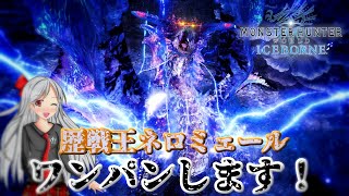 【MHWI】歴戦王ネロミェールをワンパンしたい！【MOD実況】