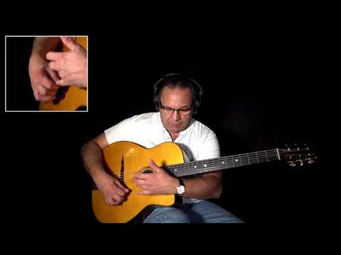 Bireli Lagrene - Django's Tiger - Fast ( Jazz Manouche )