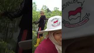 Download lagu ada udang di balik bakwan #petanimilenial #farming #cabaihijau #garden mp3 Download lagu ada udang di balik bakwan #petanimilenial #farming #cabaihijau #garden mp3