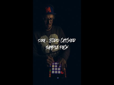 DZA - Bird catcher (Moskvin live beatmaking remix)