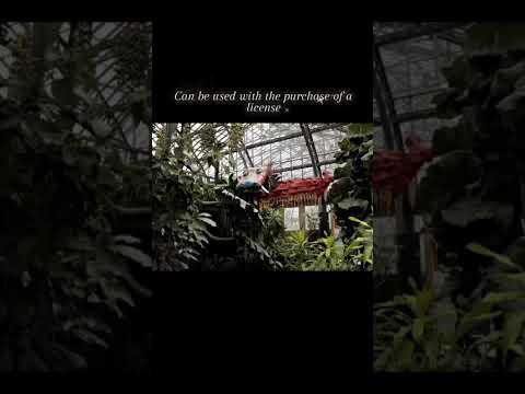 Promotional video thumbnail 2 for Just Believe Media