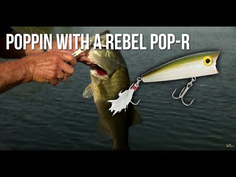 Poppin with a Rebel Pop-R